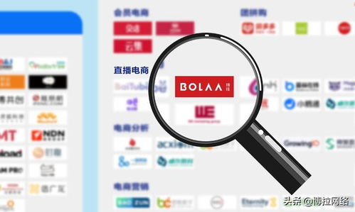 博拉網絡 以多項數字化服務領先優勢，榮登中國數字營銷生態圖